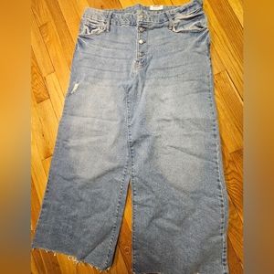 NWT - TIME and TRU Womens Plus size High-waisted Wide Leg Jean Size 16W